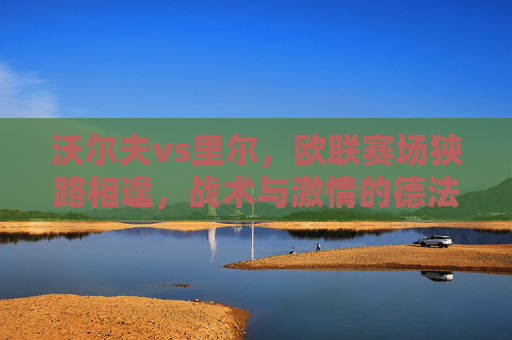 沃尔夫vs里尔,欧联赛场狭路相逢,战术与激情的德法对决,沃尔夫vs里尔,欧联德法对决,战术与激情碰撞