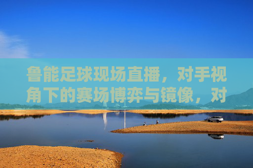鲁能足球现场直播,对手视角下的赛场博弈与镜像,对手视角,鲁能足球赛场博弈与镜像