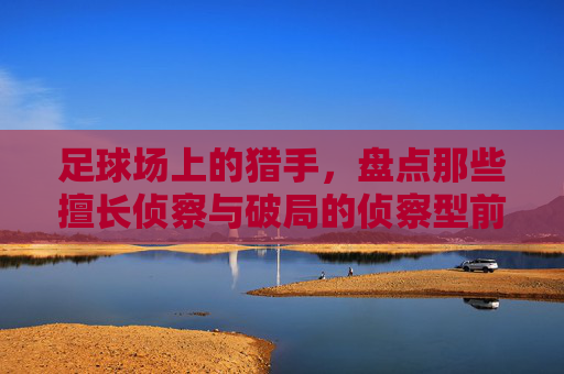 足球场上的猎手，盘点那些擅长侦察与破局的侦察型前锋，足球场上的侦察猎手，破局型前锋