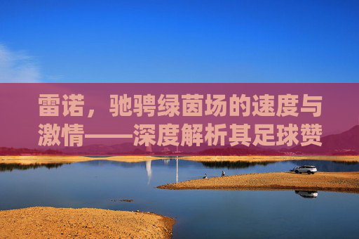 雷诺,驰骋绿茵场的速度与激情——深度解析其足球赞助战略,雷诺足球赞助战略,速度与激情的绿茵之道