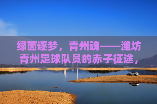 绿茵逐梦,青州魂——潍坊青州足球队员的赤子征途,绿茵逐梦青州魂,赤子征途
