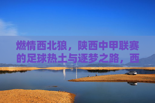 燃情西北狼,陕西中甲联赛的足球热土与逐梦之路,西北狼燃情中甲,陕西足球的热土逐梦路