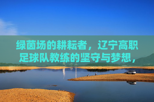 绿茵场的耕耘者，辽宁高职足球队教练的坚守与梦想，绿茵场的耕耘者，辽宁高职足球队教练的坚守与梦想
