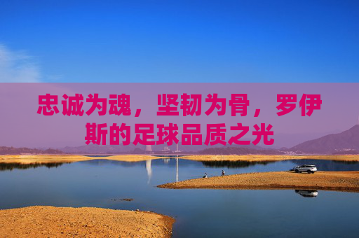忠诚为魂,坚韧为骨,罗伊斯的足球品质之光