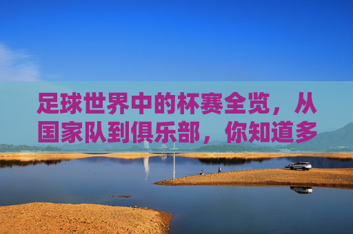 足球世界中的杯赛全览,从国家队到俱乐部,你知道多少?足球世界杯赛全览,从国家队到俱乐部