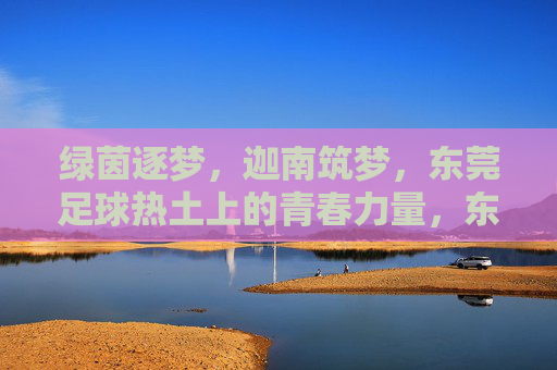 绿茵逐梦,迦南筑梦,东莞足球热土上的青春力量,东莞足球热土,青春逐梦