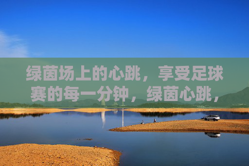 绿茵场上的心跳，享受足球赛的每一分钟，绿茵心跳，享受足球赛的每一分钟