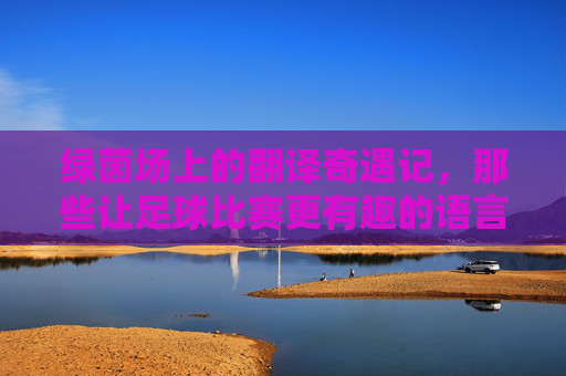 绿茵场上的翻译奇遇记,那些让足球比赛更有趣的语言魔法,绿茵场翻译奇遇,语言魔法点燃赛场