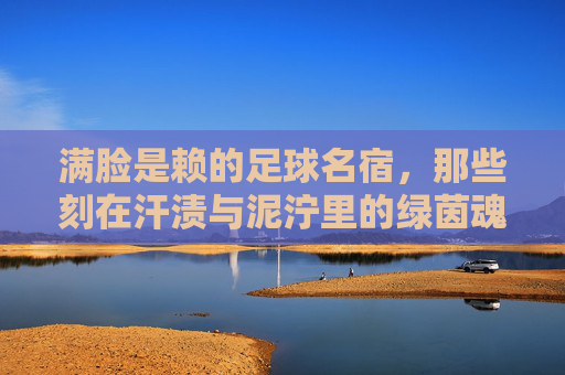 满脸是赖的足球名宿，那些刻在汗渍与泥泞里的绿茵魂，满脸是赖的足球名宿，刻在汗渍与泥泞里的绿茵魂