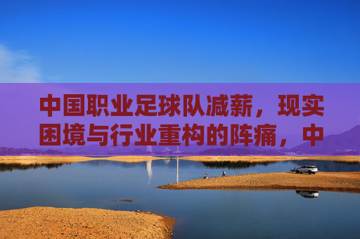 中国职业足球队减薪,现实困境与行业重构的阵痛,中国职业足球队减薪,现实困境与行业重构的阵痛