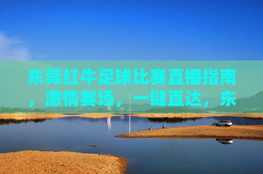 东莞红牛足球比赛直播指南,激情赛场,一键直达,东莞红牛足球比赛直播指南,激情赛场,一键直达
