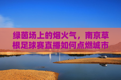 绿茵场上的烟火气,南京草根足球赛直播如何点燃城市足球梦