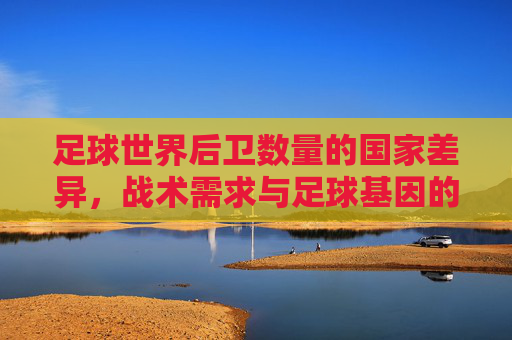 足球世界后卫数量的国家差异,战术需求与足球基因的碰撞,后卫数量国别差异,战术需求与足球基因的碰撞