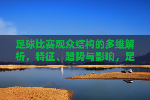 足球比赛观众结构的多维解析,特征、趋势与影响,足球比赛观众结构的多维解析,特征、趋势与影响