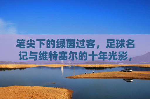 笔尖下的绿茵过客,足球名记与维特塞尔的十年光影,笔尖下的绿茵过客,足球名记与维特塞尔十年光影
