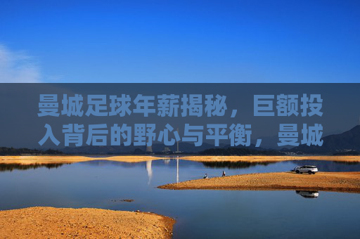 曼城足球年薪揭秘,巨额投入背后的野心与平衡,曼城年薪揭秘,巨额投入背后的野心与平衡