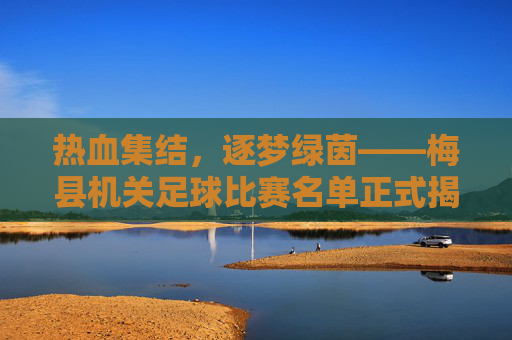 热血集结，逐梦绿茵——梅县机关足球比赛名单正式揭晓，热血集结逐梦绿茵！梅县机关足球比赛名单揭晓