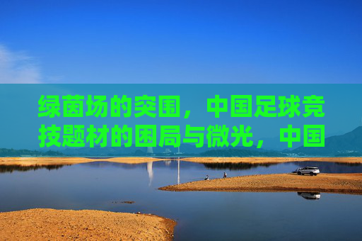 绿茵场的突围，中国足球竞技题材的困局与微光，中国足球竞技题材，困局突围与微光