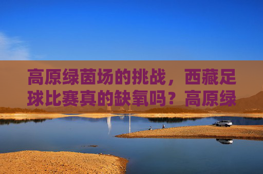 高原绿茵场的挑战,西藏足球比赛真的缺氧吗?高原绿茵场挑战,西藏足球比赛真会缺氧吗?