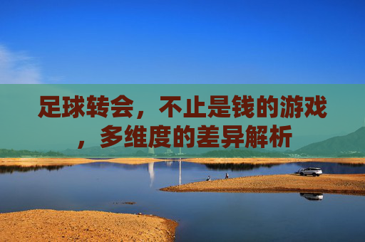 足球转会,不止是钱的游戏,多维度的差异解析