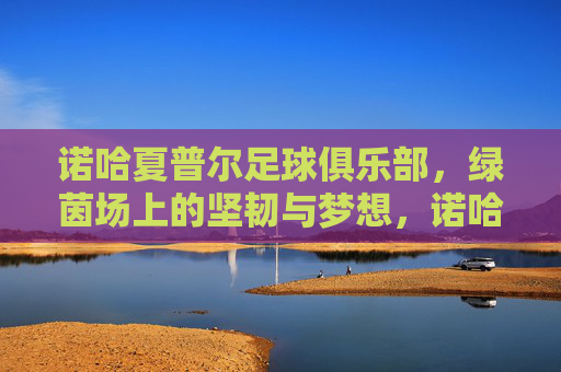 诺哈夏普尔足球俱乐部，绿茵场上的坚韧与梦想，诺哈夏普尔，绿茵场上的坚韧与梦想