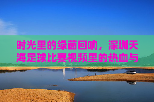 时光里的绿茵回响，深圳天海足球比赛视频里的热血与记忆，绿茵时光回响，深圳天海足球视频里的热血记忆