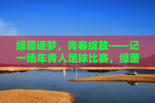 绿茵逐梦，青春绽放——记一场年青人足球比赛，绿茵逐梦，青春绽放