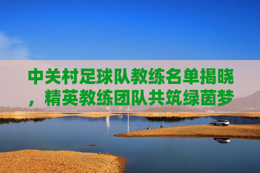 中关村足球队教练名单揭晓,精英教练团队共筑绿茵梦想,中关村足球队教练名单揭晓,精英团队共筑绿茵梦想
