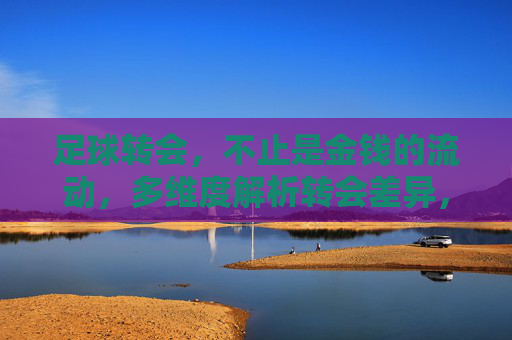 足球转会，不止是金钱的流动，多维度解析转会差异，足球转会差异，多维度解析，超越金钱流动