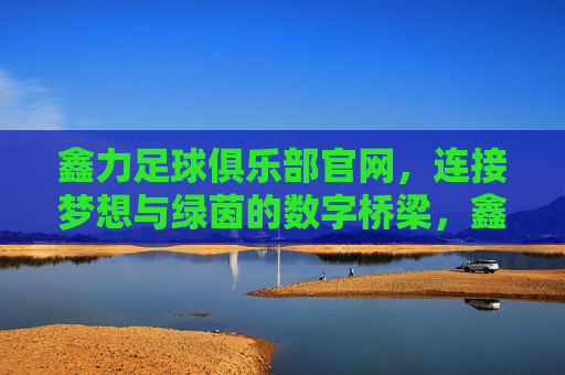 鑫力足球俱乐部官网，连接梦想与绿茵的数字桥梁，鑫力足球俱乐部官网，连接梦想与绿茵的数字桥梁