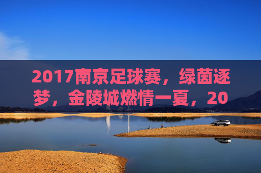 2017南京足球赛，绿茵逐梦，金陵城燃情一夏，2017金陵绿茵逐梦，足球燃情一夏