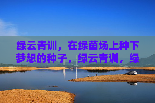 绿云青训,在绿茵场上种下梦想的种子,绿云青训,绿茵场种下梦想种子