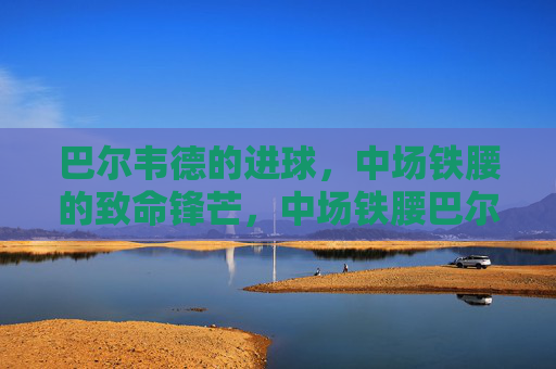 巴尔韦德的进球,中场铁腰的致命锋芒,中场铁腰巴尔韦德的致命锋芒