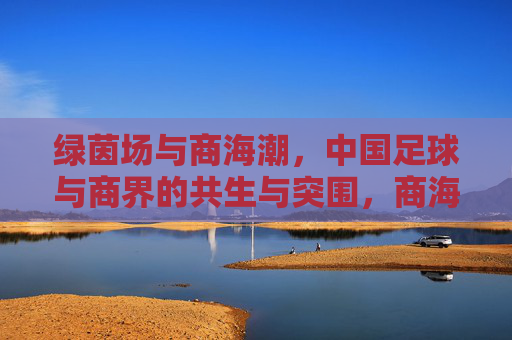 绿茵场与商海潮，中国足球与商界的共生与突围，商海潮涌绿茵场，中国足球与商界的共生突围