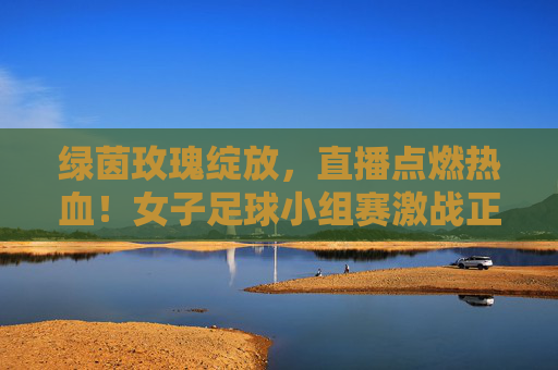 绿茵玫瑰绽放，直播点燃热血！女子足球小组赛激战正酣，绿茵玫瑰绽放，直播点燃小组赛热血