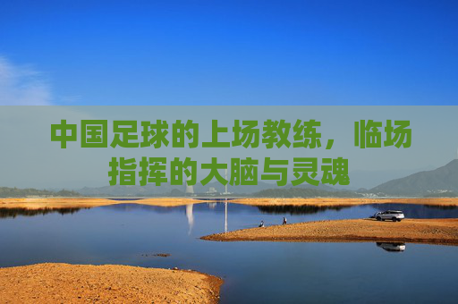 中国足球的上场教练,临场指挥的大脑与灵魂