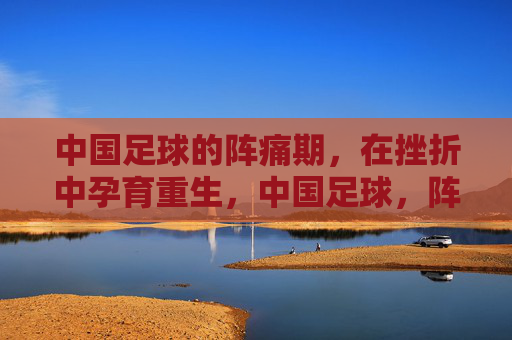 中国足球的阵痛期，在挫折中孕育重生，中国足球，阵痛中的重生