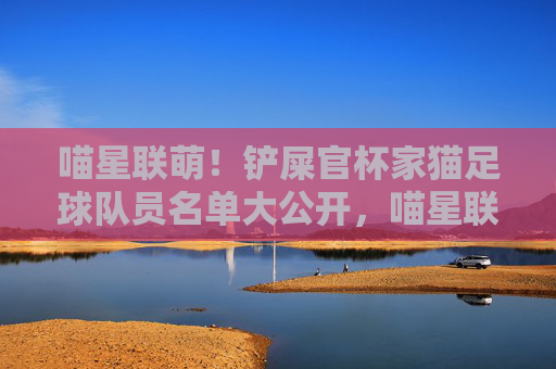 喵星联萌!铲屎官杯家猫足球队员名单大公开,喵星联萌!铲屎官杯家猫足球队员名单大公开