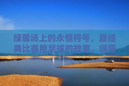 绿茵场上的永恒符号,最经典比赛用足球的故事,绿茵永恒符号,经典比赛足球的故事