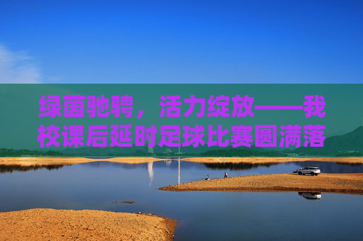 绿茵驰骋,活力绽放——我校课后延时足球比赛圆满落幕,绿茵驰骋活力绽放 我校课后延时足球比赛圆满落幕