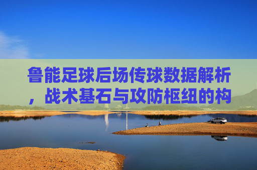 鲁能足球后场传球数据解析,战术基石与攻防枢纽的构建,鲁能后场传球数据解析,战术基石与攻防枢纽构建