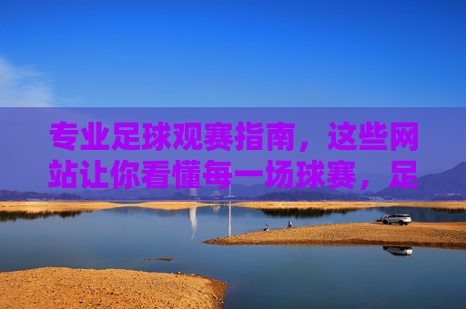 专业足球观赛指南,这些网站让你看懂每一场球赛,足球观赛指南,专业网站助你看懂每一场球赛