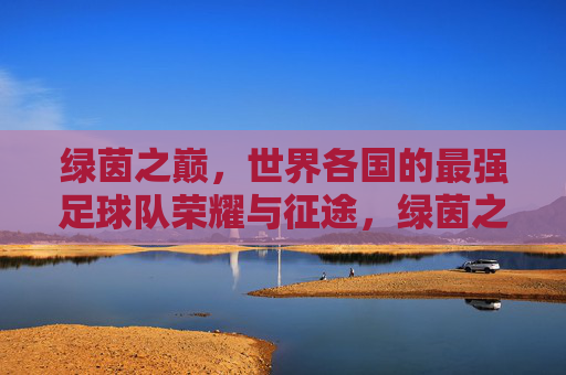 绿茵之巅，世界各国的最强足球队荣耀与征途，绿茵之巅，世界最强足球队的荣耀征途