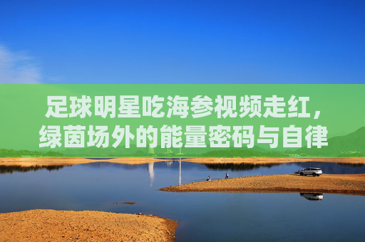足球明星吃海参视频走红，绿茵场外的能量密码与自律哲学，海参里的绿茵能量，足球明星的自律密码