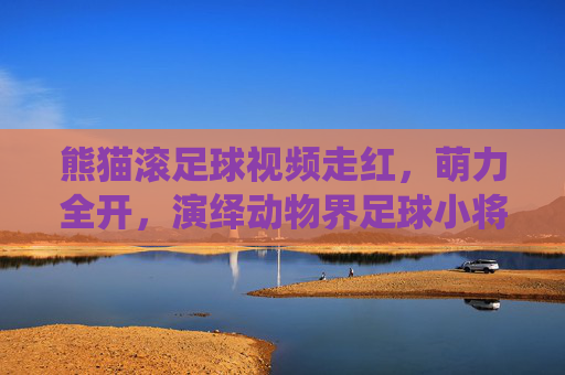 熊猫滚足球视频走红，萌力全开，演绎动物界足球小将的治愈瞬间，熊猫滚足球萌力全开，演绎动物界治愈瞬间