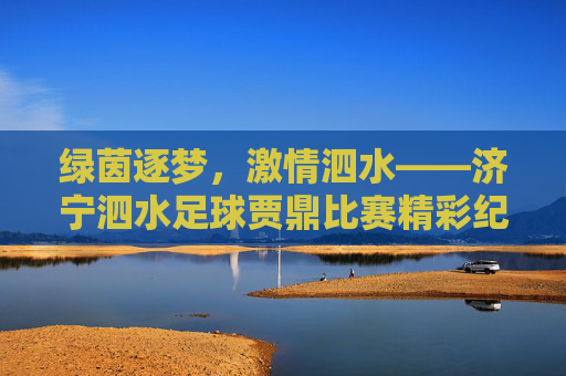 绿茵逐梦,激情泗水——济宁泗水足球贾鼎比赛精彩纪实,绿茵逐梦,激情泗水——济宁泗水足球贾鼎比赛精彩纪实