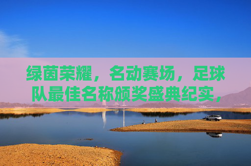 绿茵荣耀，名动赛场，足球队最佳名称颁奖盛典纪实，绿茵荣耀名动赛场，足球队最佳名称颁奖盛典纪实
