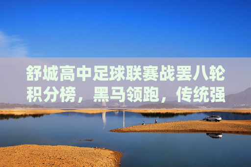 舒城高中足球联赛战罢八轮积分榜,黑马领跑,传统强队蓄势待发,舒城高中足球联赛战罢八轮,黑马领跑,传统强队蓄势待发