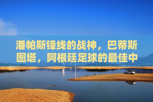 潘帕斯锋线的战神,巴蒂斯图塔,阿根廷足球的最佳中锋,潘帕斯战神巴蒂斯图塔,阿根廷足球最佳中锋