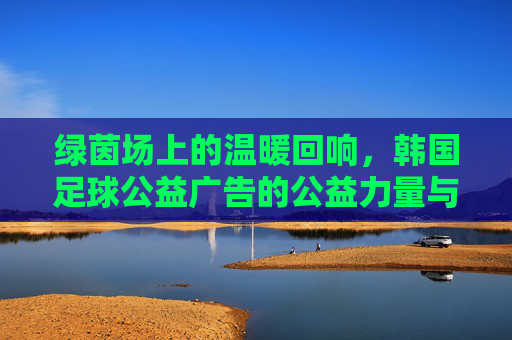 绿茵场上的温暖回响，韩国足球公益广告的公益力量与文化密码，韩国足球公益广告，公益力量与文化密码的温暖回响